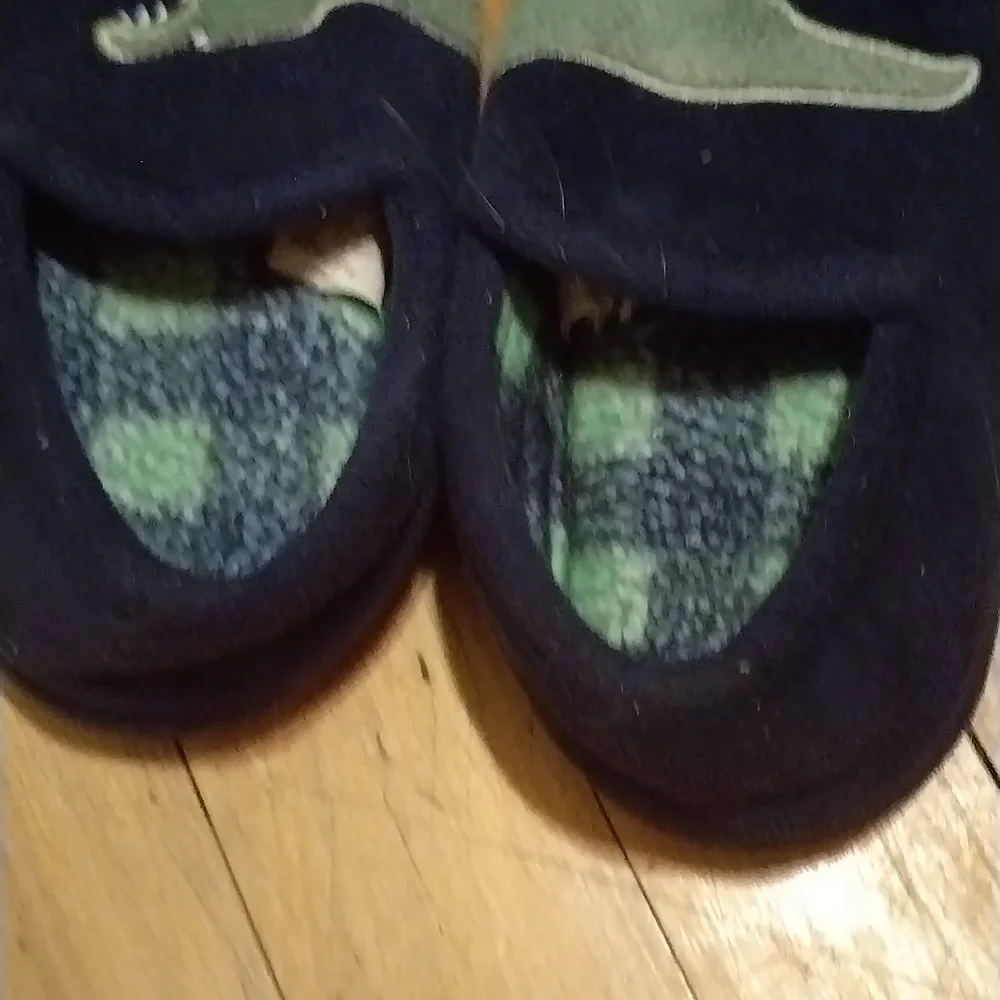 Wonder Nation Kids Dinosaur Slippers - Navy and Green